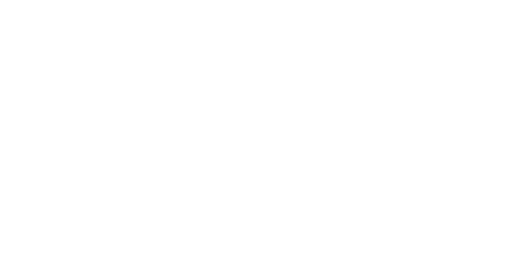 The Women's National Basketball Association (WNBA) logo.