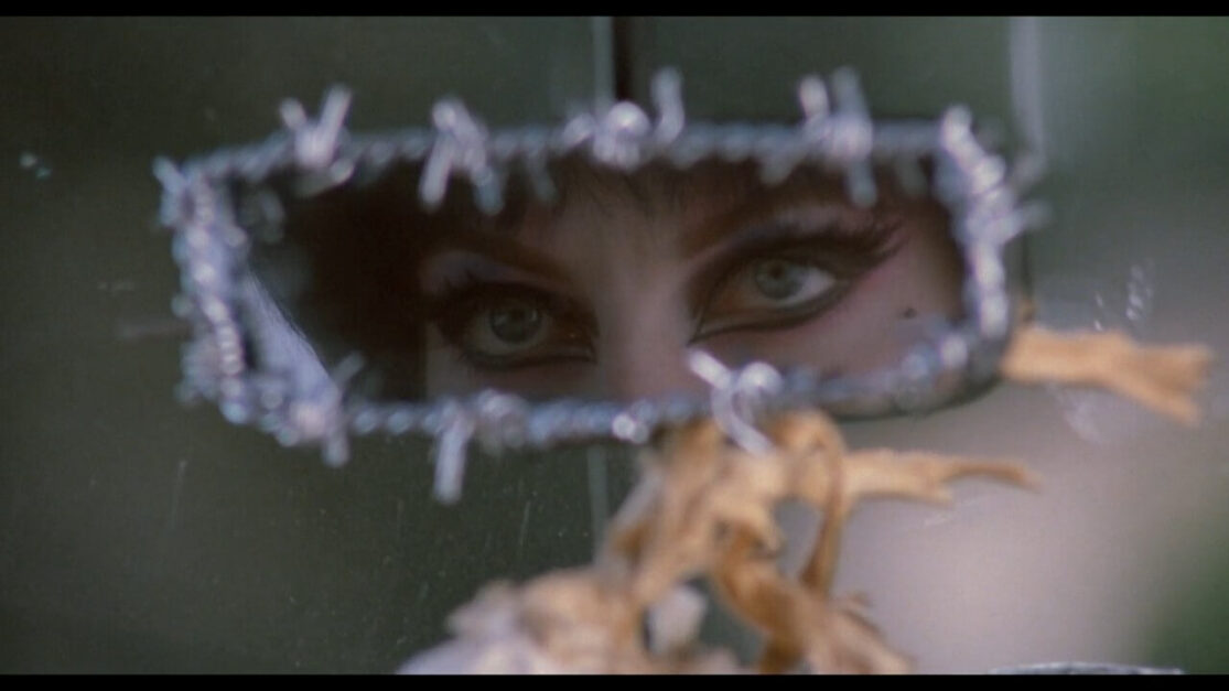 The reflection of a woman's eyes as she stares into a rearview mirror outlined in barbed wire.