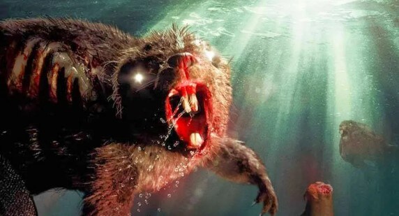 A beaver, swimming underwater, bares its bloody teeth. Severed human body parts float nearby.