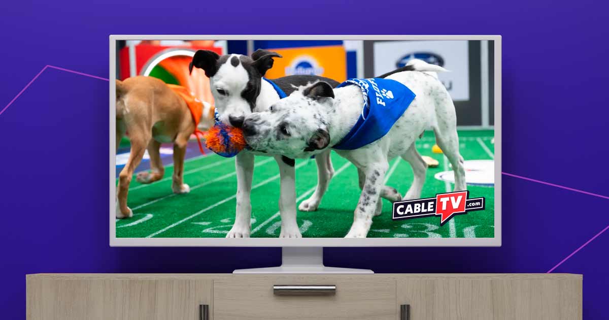 How to Watch the Puppy Bowl 2023