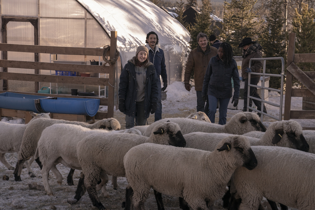 Joel, Ellie, Tommy, And Maria walking outdoors in a sheep farm in HBO's The Last of Us