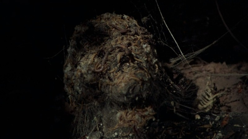 The barely recognizable head of Jason Voorhees infested with creepy crawlies.