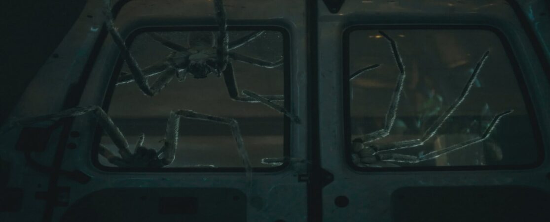 In a scene from Infested, three very large giant huntsman spiders break into a van's rear windows.
