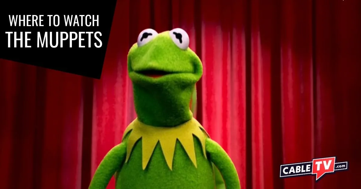 Kermit the Frog stands on a stage in front of a red curtain.