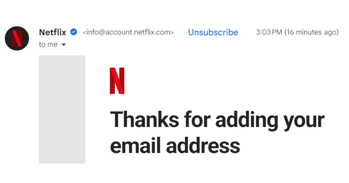 An email from Netflix that says "Thanks for adding your email address."