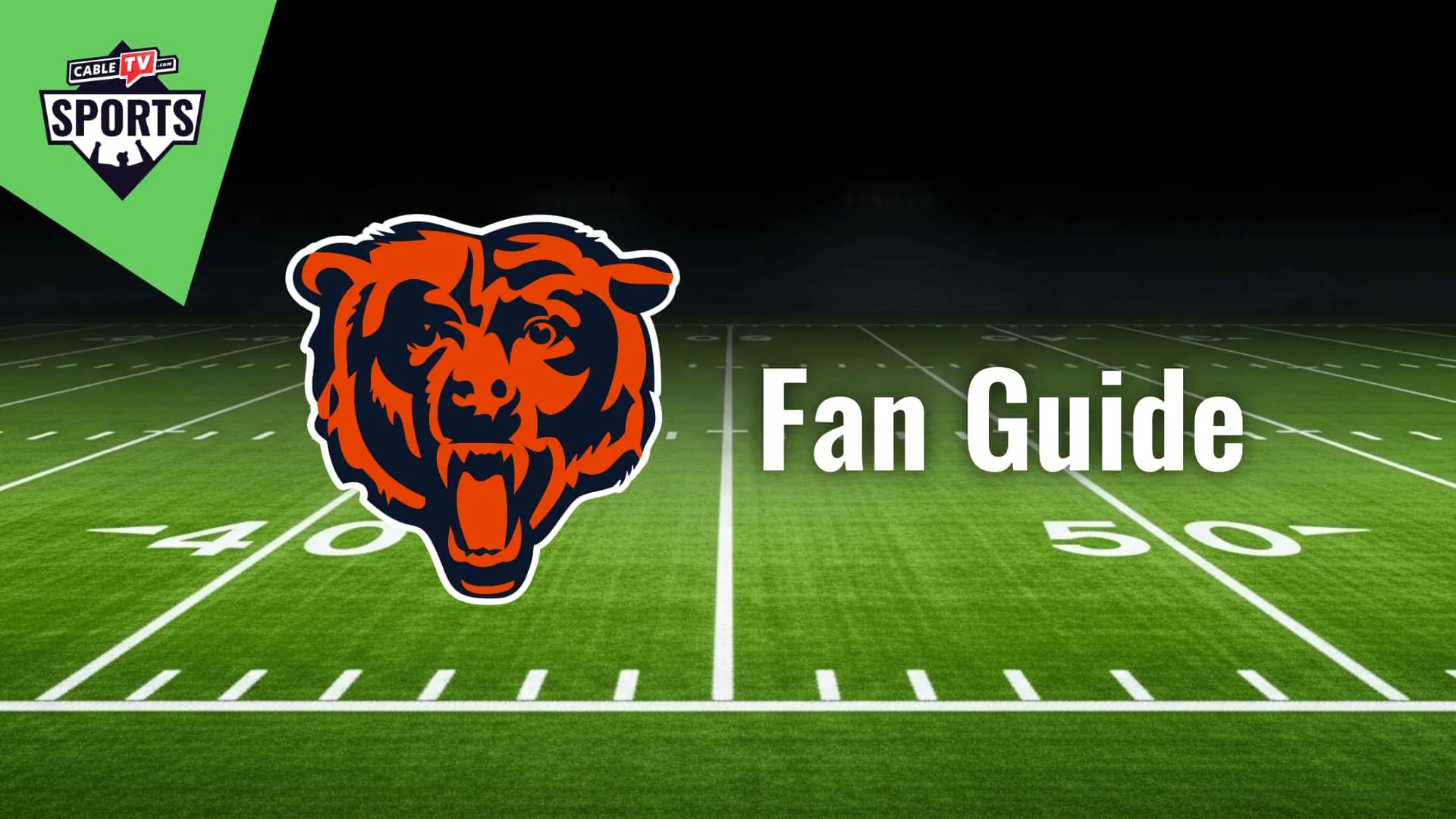 Chicago Bears Fan Guide