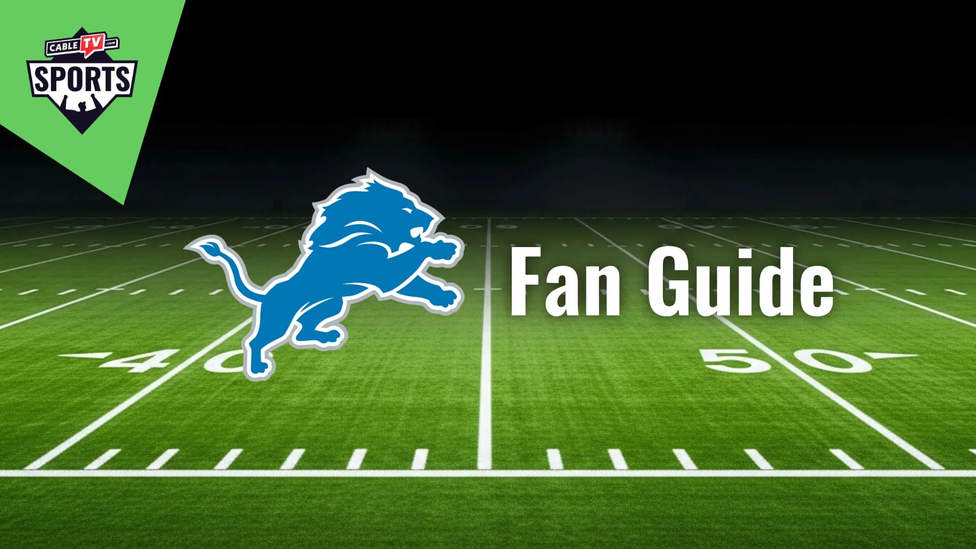 Detroit Lions Fan Guide