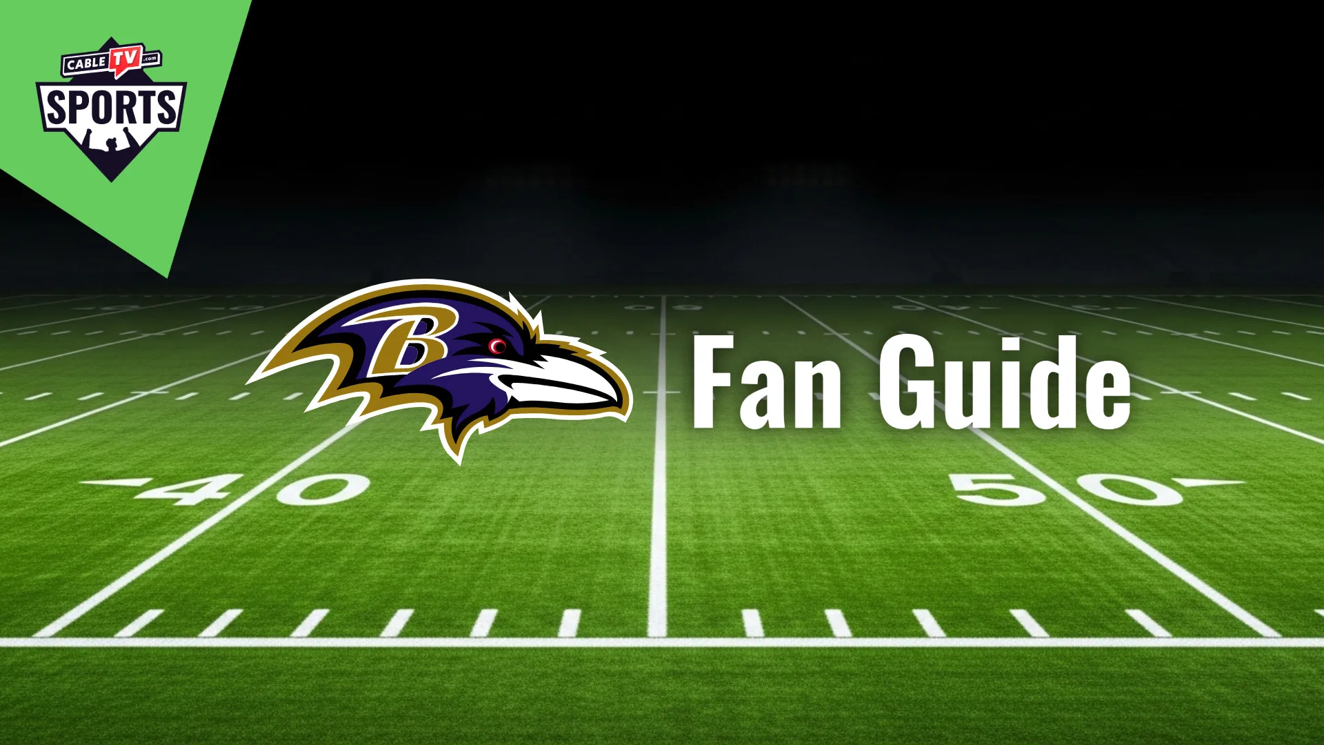 Baltimore Ravens Fan Guide
