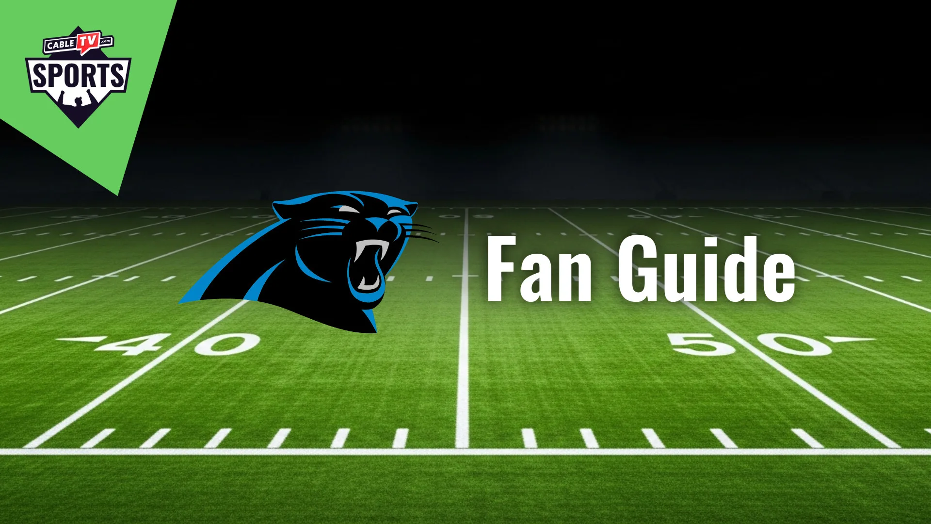 Carolina Panthers Fan Guide