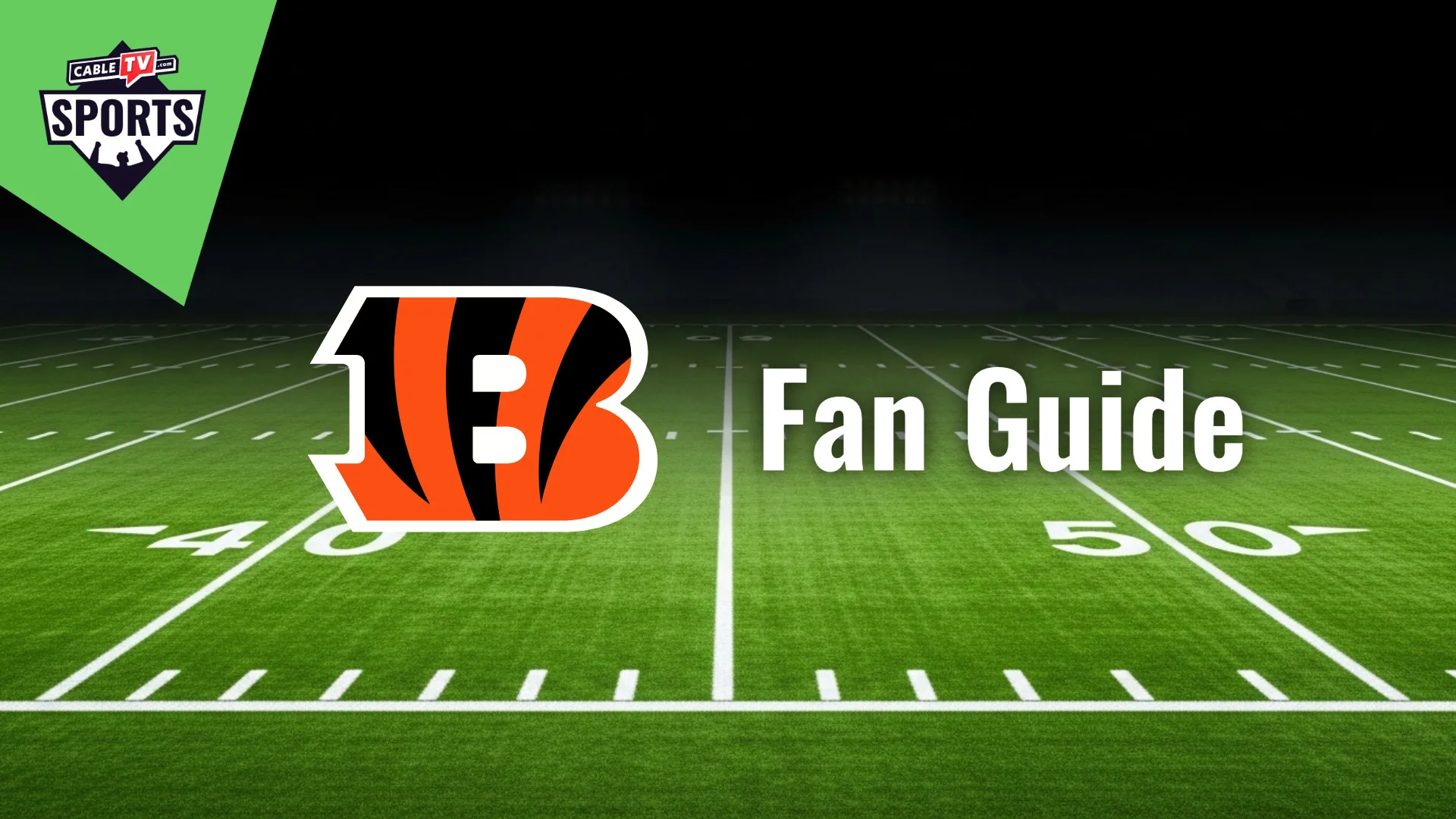 Cincinnati Bengals Fan Guide