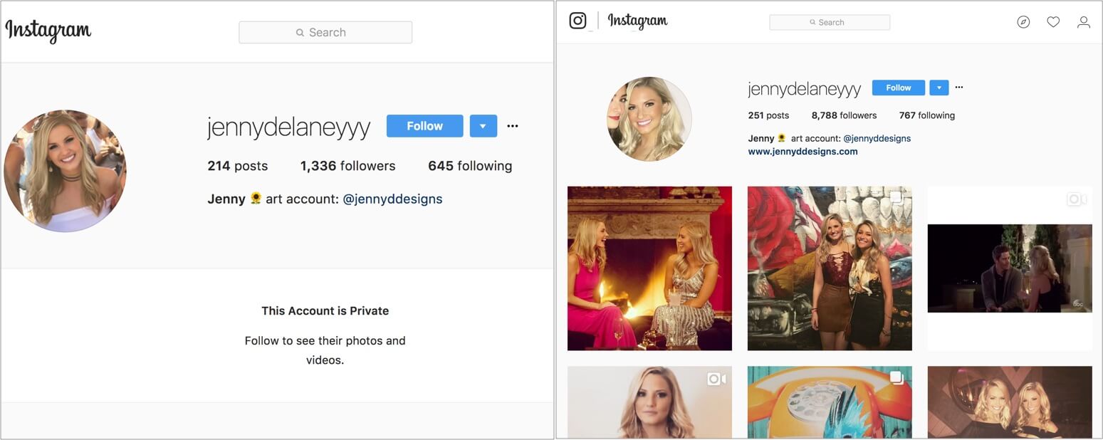 Jenny Instagram Followers from The Bachelor