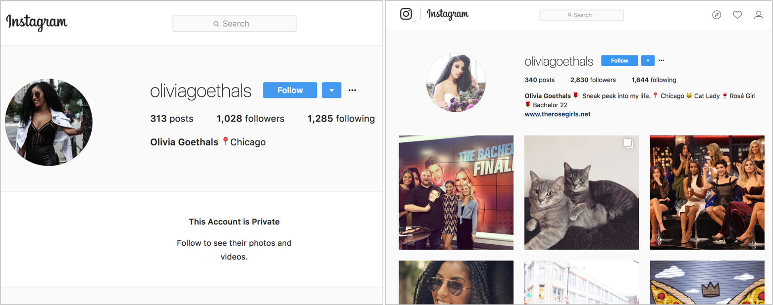 Olivia The Bachelor Instagram Followers